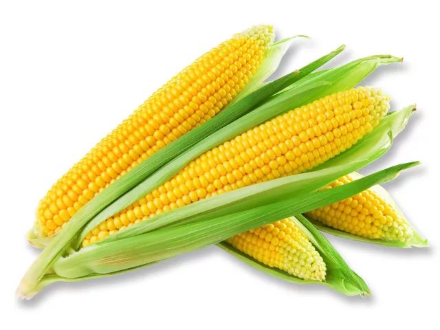 ΢ͼƬ_20220208095611.jpg
