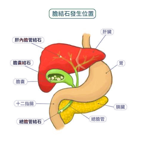 ͼƬ12.png